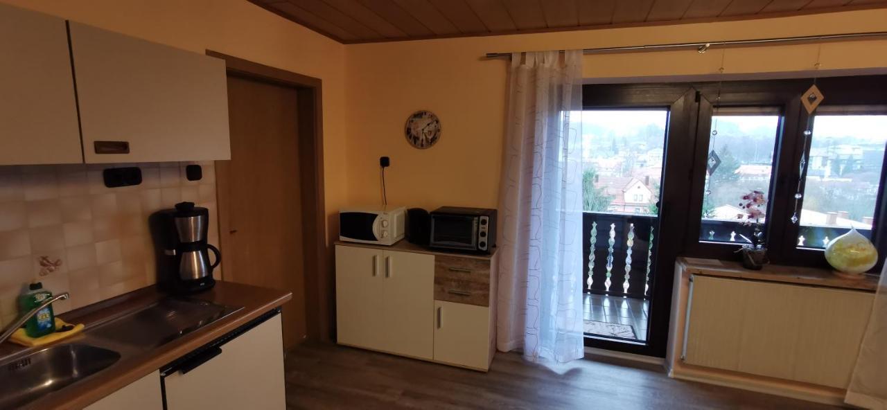 Appartement Haus Anton à Zwiesel Extérieur photo